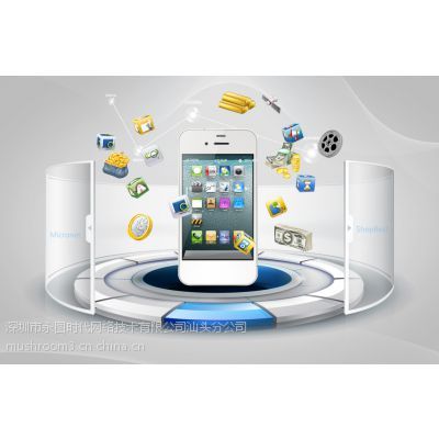 汕頭網站建設與設計專家 打造誠信通旺鋪，賦能企業數字化發展